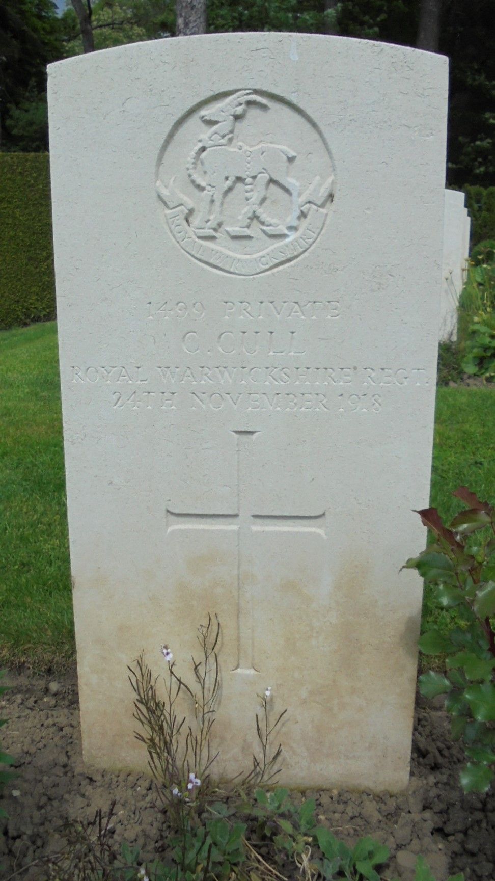grave for c cull