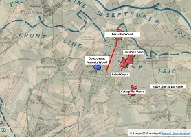 mametz wood500