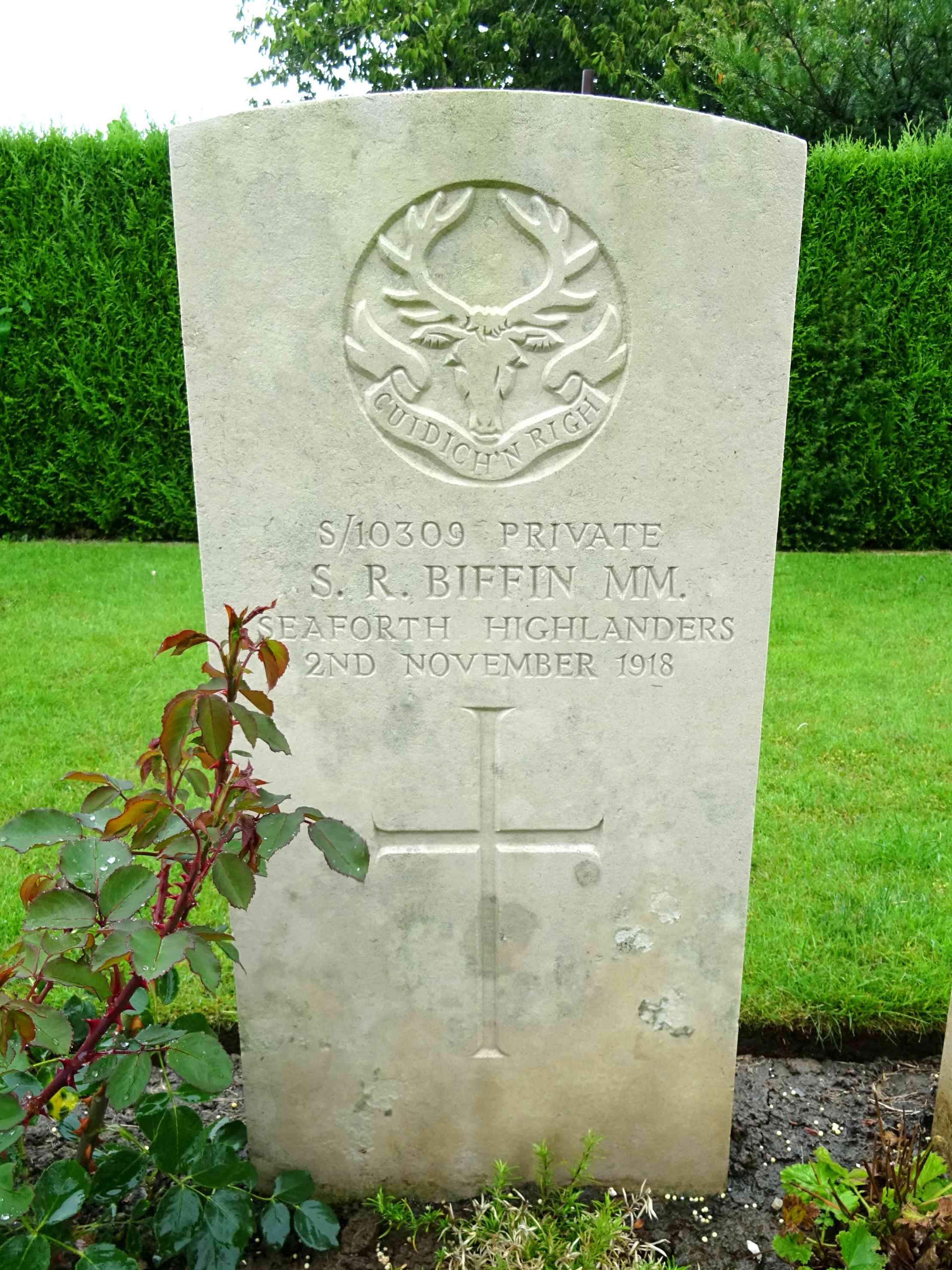 grave for SR Biffin