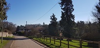 Village Scene 100